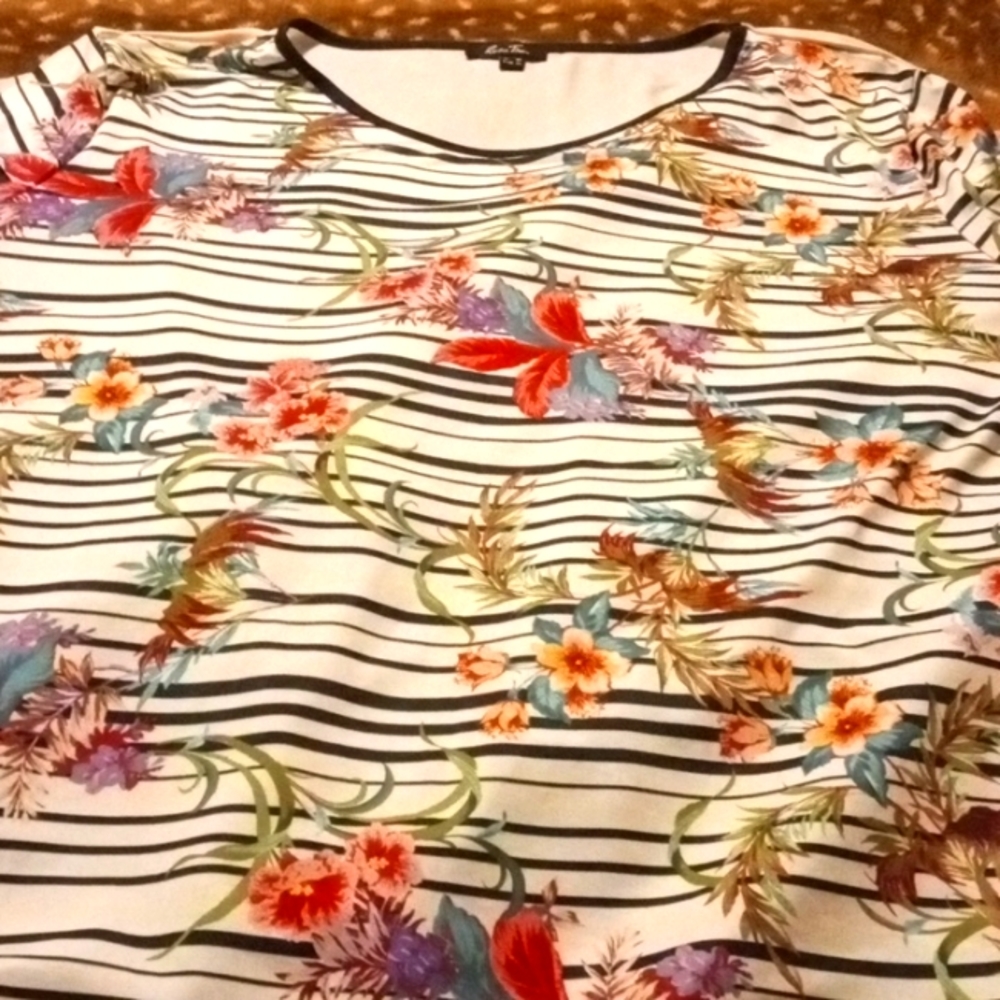 Short Sleeve Silky Women's Tee by Rosa Thea